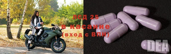 ГАЛЛЮЦИНОГЕННЫЕ ГРИБЫ Армянск