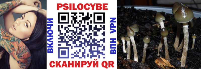 где купить   Борисоглебск  Псилоцибиновые грибы Cubensis 
